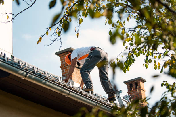 Best Storm Damage Roof Repair  in Beulah, ND