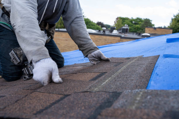 Roof Waterproofing Services in Beulah, ND