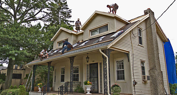 Best Roof Replacement Cost  in Beulah, ND