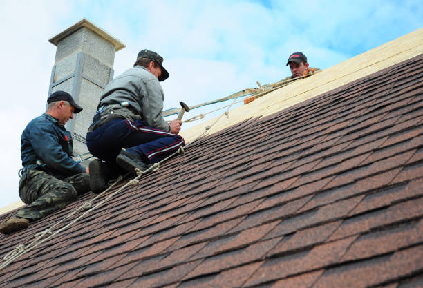Professional Roofing Contractor in Beulah, ND